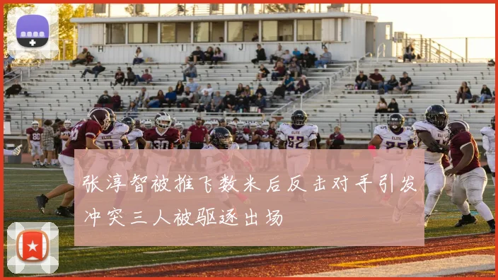 张淳智被推飞数米后反击对手引发冲突三人被驱逐出场